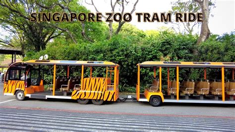 singapore zoo tram
